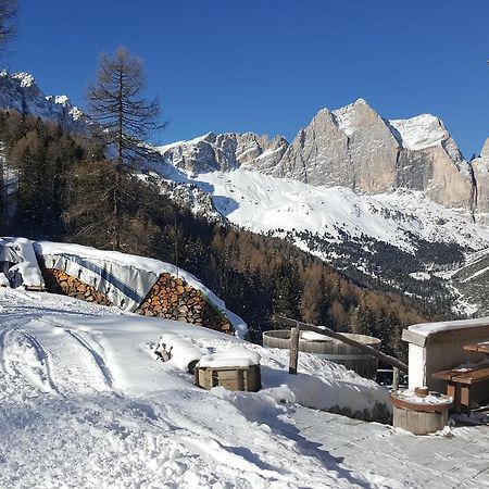博萨迪法萨 Rifugio Negritella酒店 外观 照片