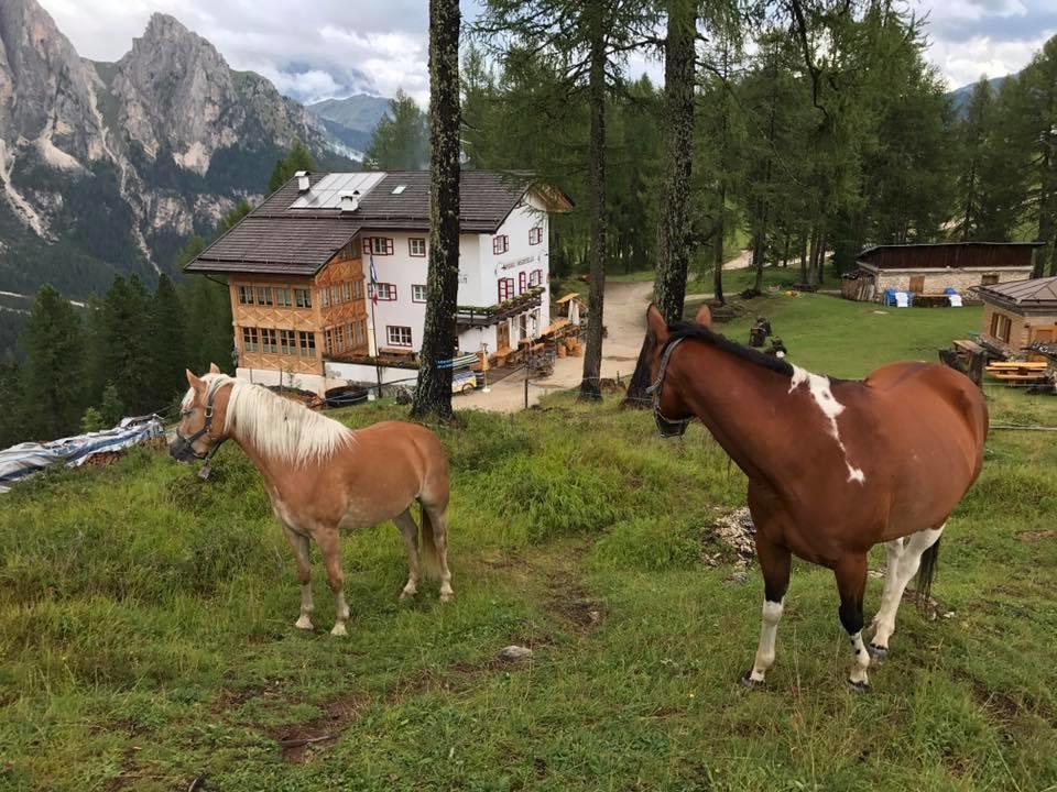 博萨迪法萨 Rifugio Negritella酒店 外观 照片
