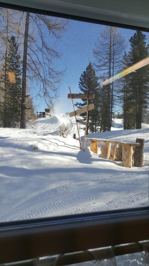 博萨迪法萨 Rifugio Negritella酒店 外观 照片